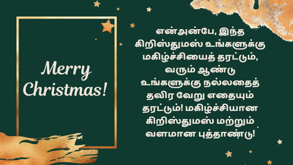 merry christmas and new year wishes