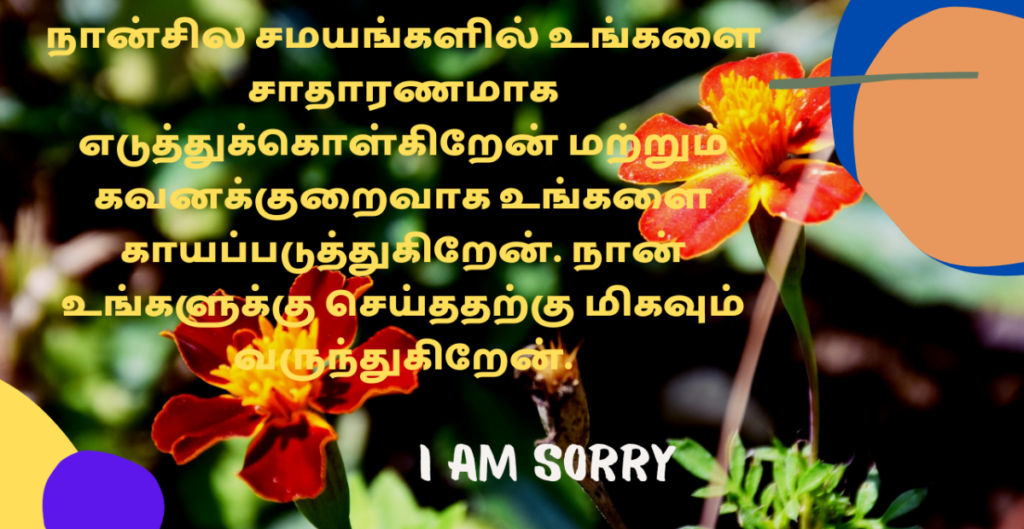 Sorry Message for Brother